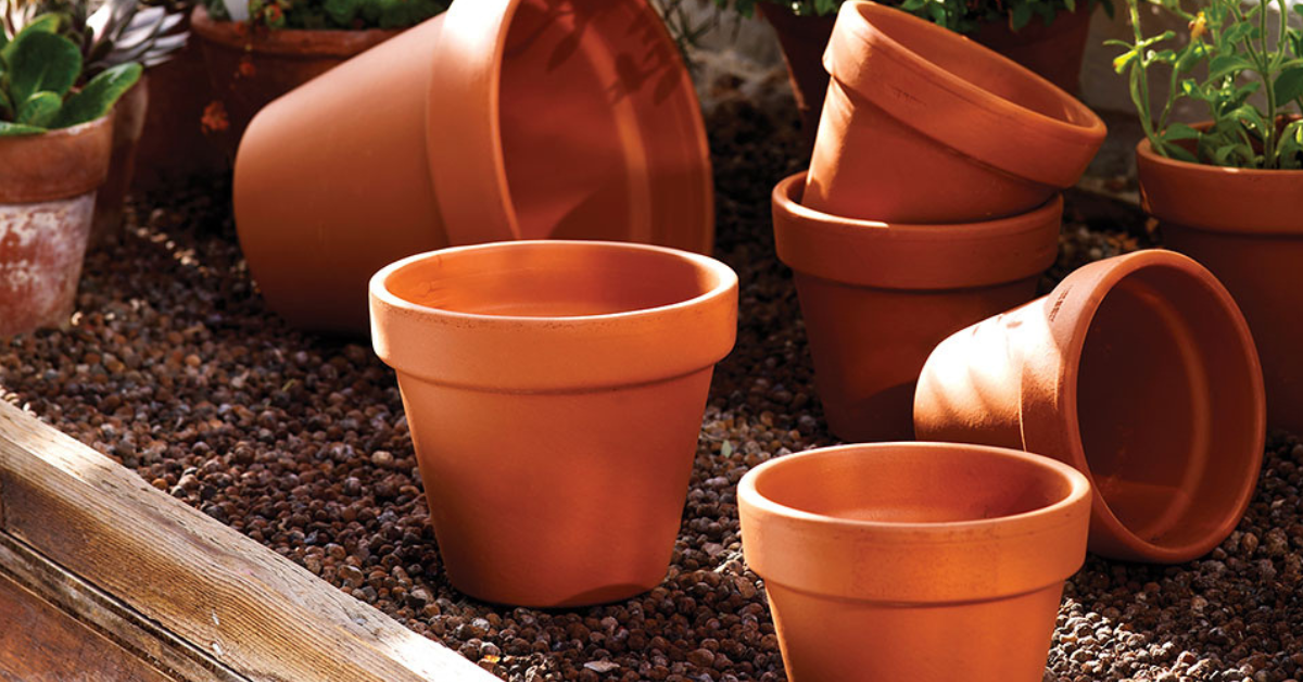 plant pots