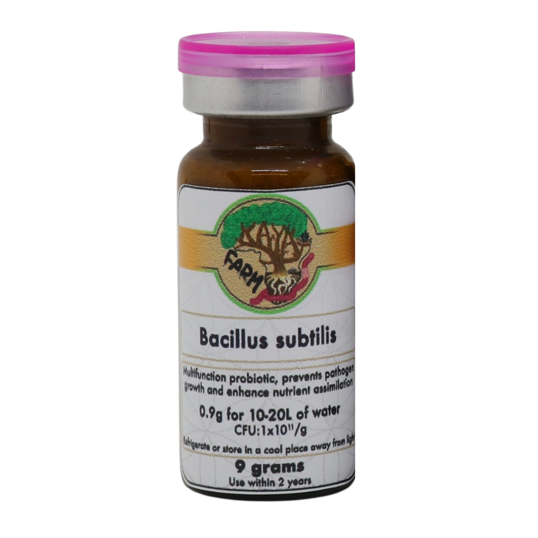 bacillus subtilis organic fungicide