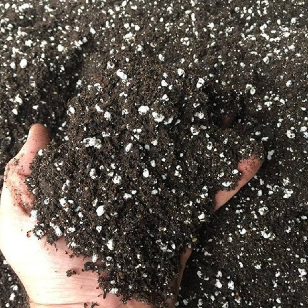 organic living soil 