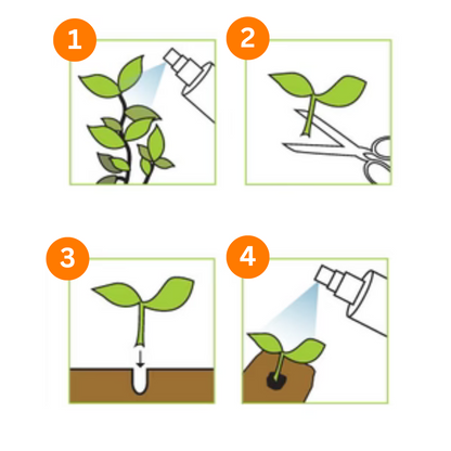 rootit cutting mist demonstration