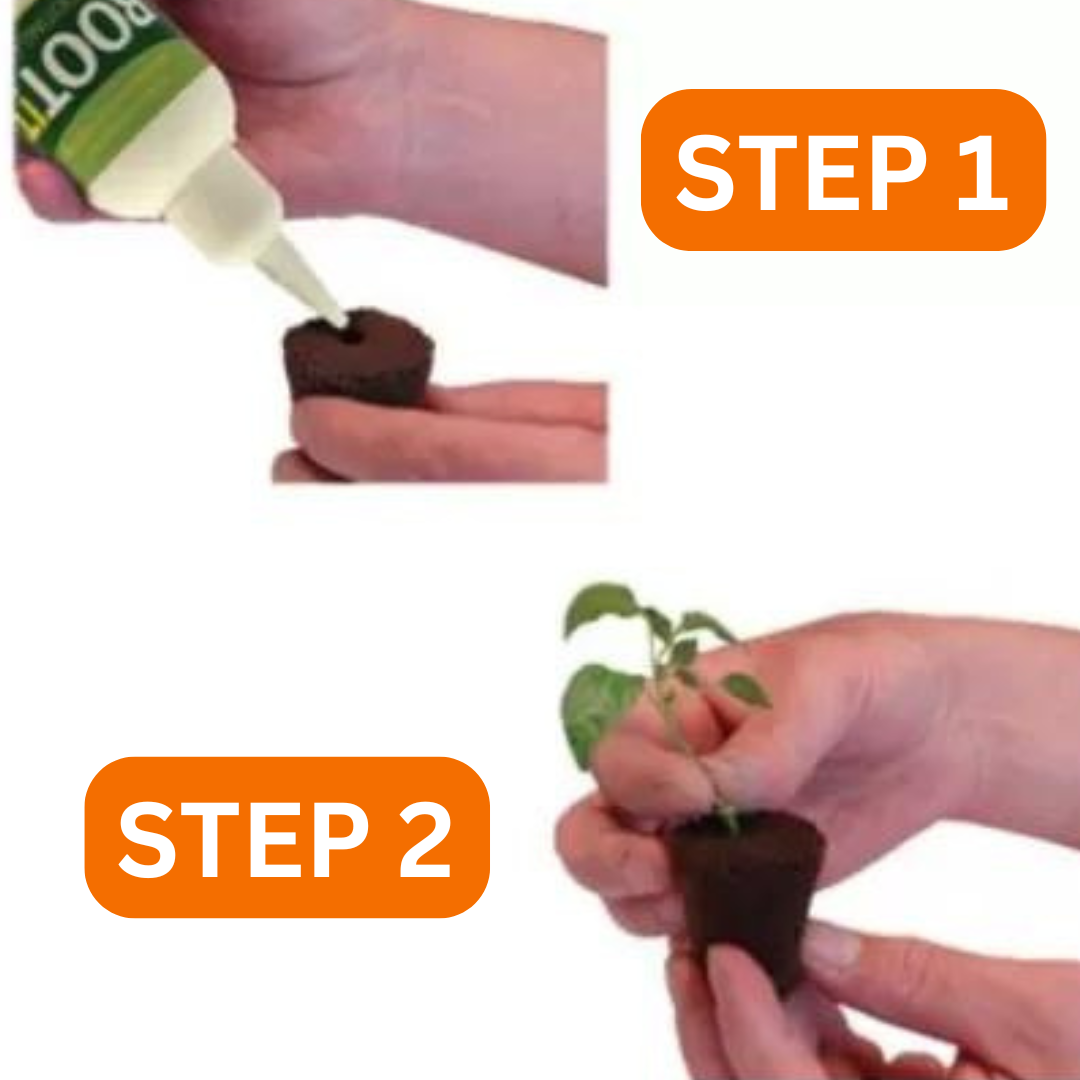 rootit rooting gel demonstration