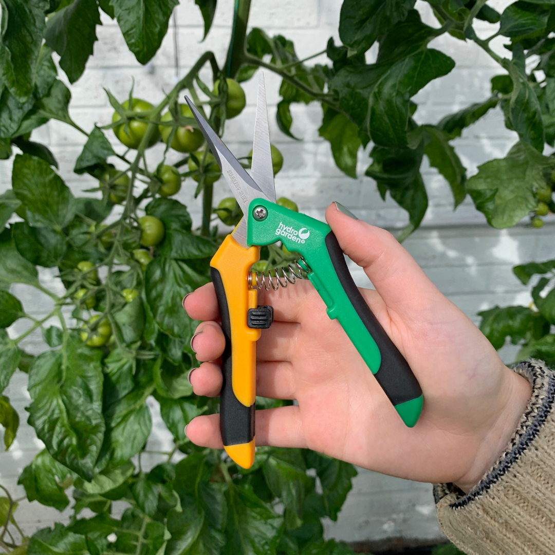 gardening shears