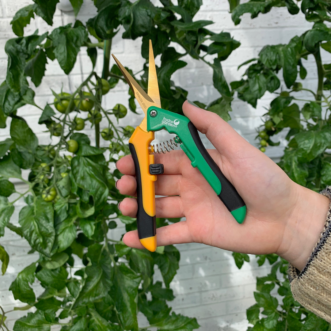 gardening shears